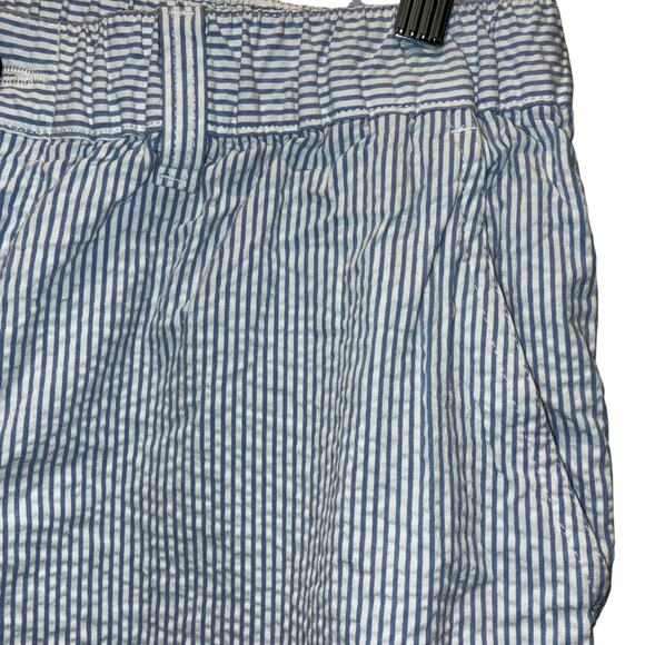 Chubbies Shorts Seersucker Striped Blue White Mens Size Large 5" Inseam - Picture 3 of 7